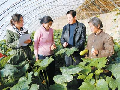 民樂縣不斷加強(qiáng)農(nóng)業(yè)科技培訓(xùn)服務(wù)工作