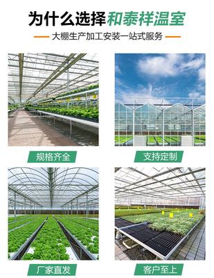 和泰祥農(nóng)業(yè)科技制造農(nóng)業(yè)蔬菜種植養(yǎng)殖連體大棚溫室大棚安裝