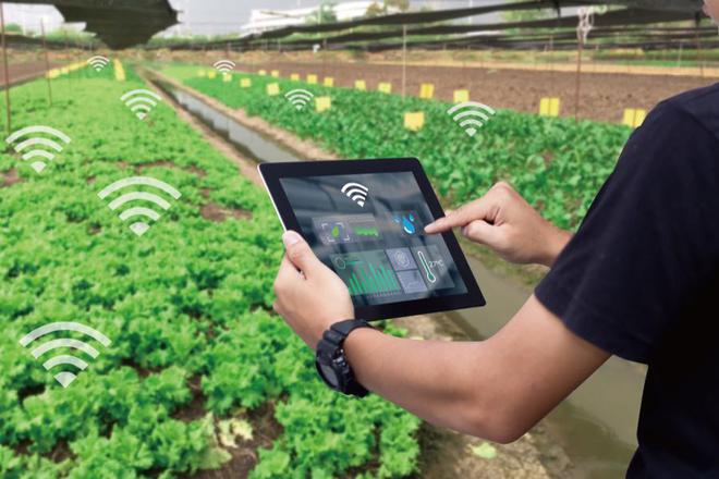 麥麥科技獲數千萬元天使輪融資發展tob端智慧農業科技服務平臺