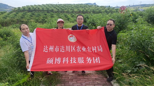 達州市達川區農業農村局 碩博科技服務團 助推鄉村產業結碩果